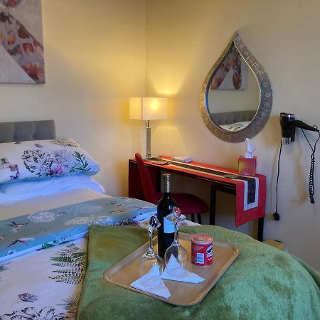 Mountroyal Victorian Studio Self Catering Apartment 3 Belfast Exterior foto