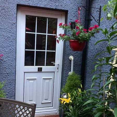 Mountroyal Victorian Studio Self Catering Apartment 3 Belfast Exterior foto
