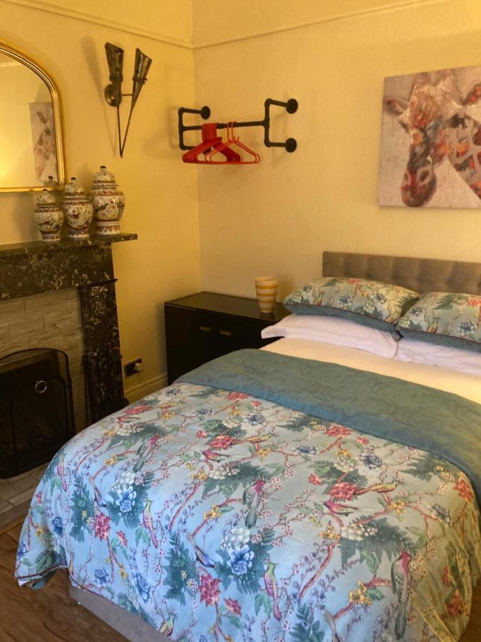 Mountroyal Victorian Studio Self Catering Apartment 3 Belfast Exterior foto