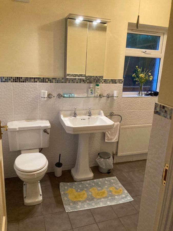 Mountroyal Victorian Studio Self Catering Apartment 3 Belfast Exterior foto