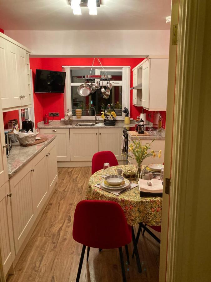 Mountroyal Victorian Studio Self Catering Apartment 3 Belfast Exterior foto