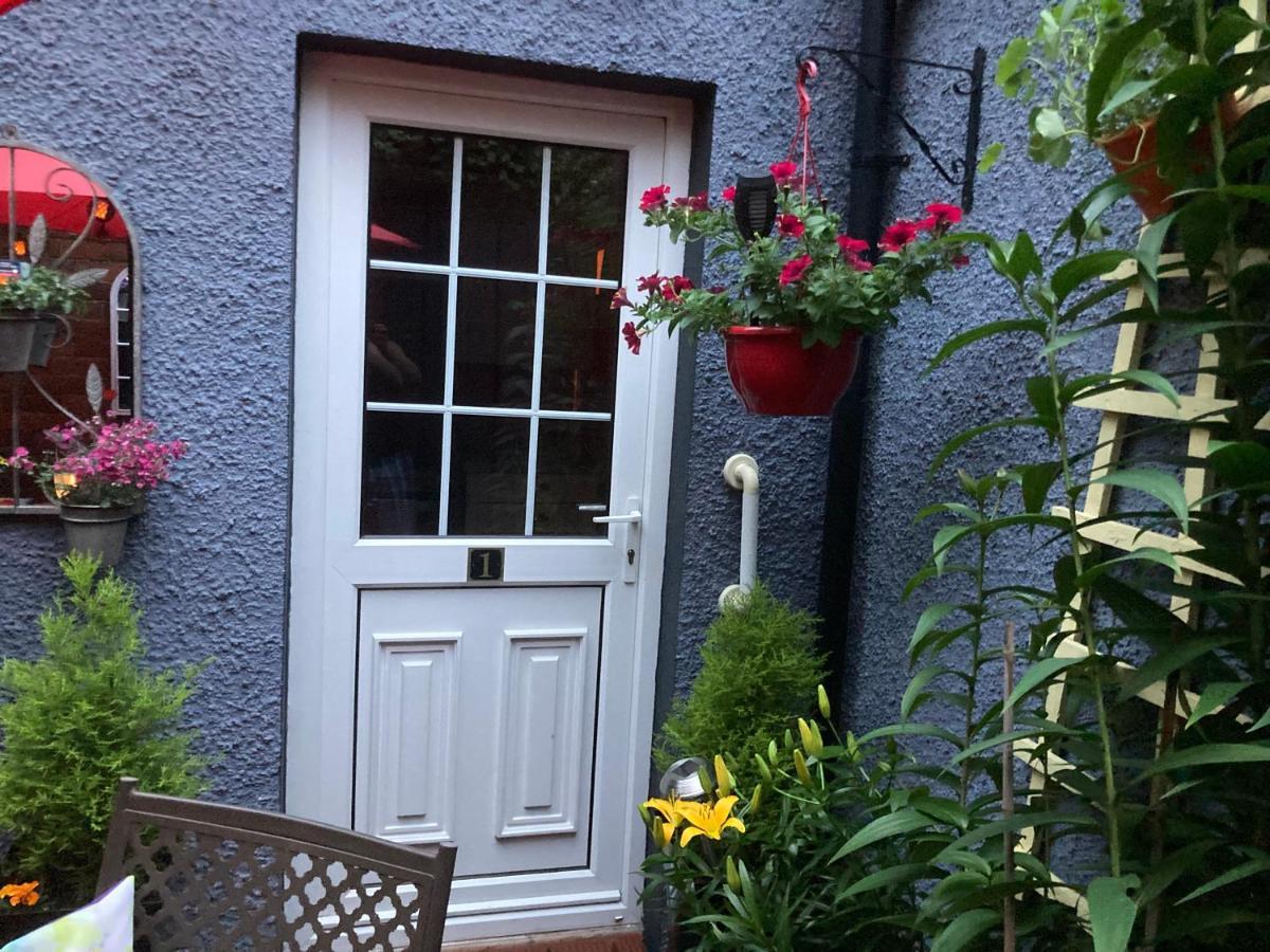 Mountroyal Victorian Studio Self Catering Apartment 3 Belfast Exterior foto