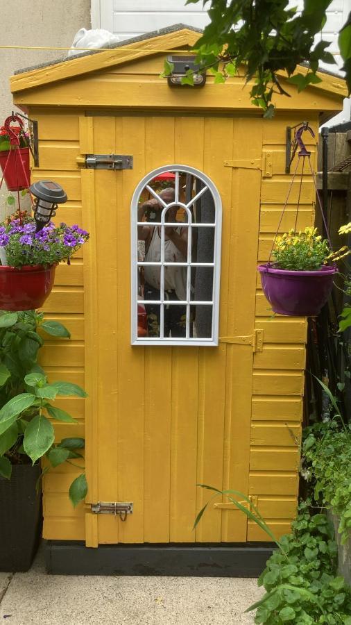 Mountroyal Victorian Studio Self Catering Apartment 3 Belfast Exterior foto