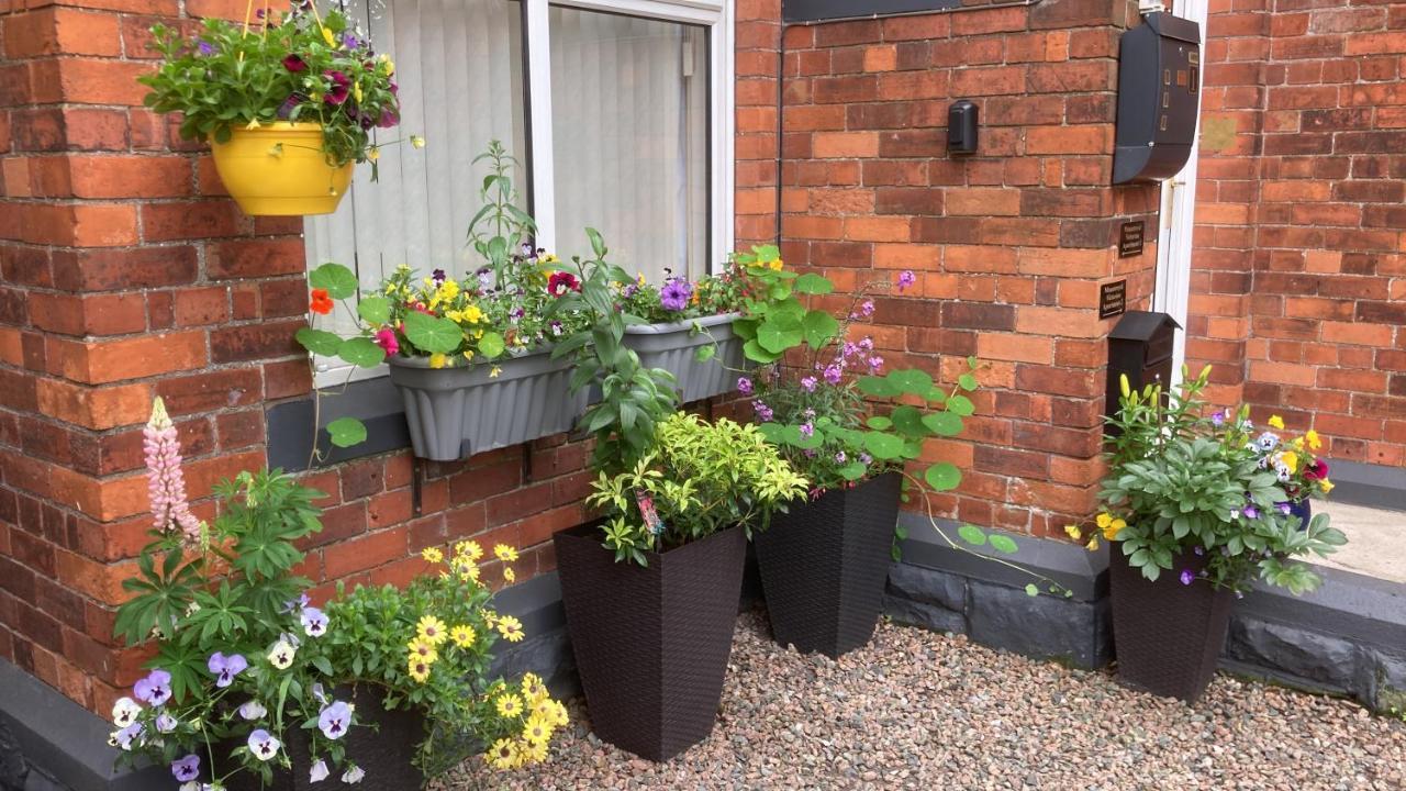 Mountroyal Victorian Studio Self Catering Apartment 3 Belfast Exterior foto