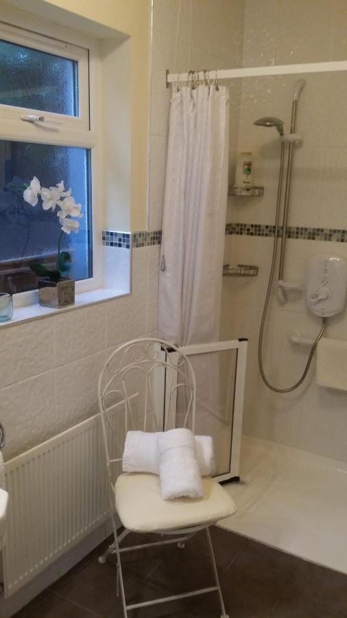 Mountroyal Victorian Studio Self Catering Apartment 3 Belfast Exterior foto